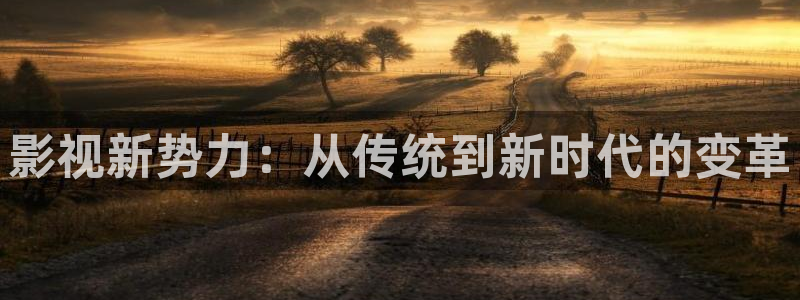 熊猫电影yy8y4高清版怎么看：影视新势力：从传统到新时代的变革