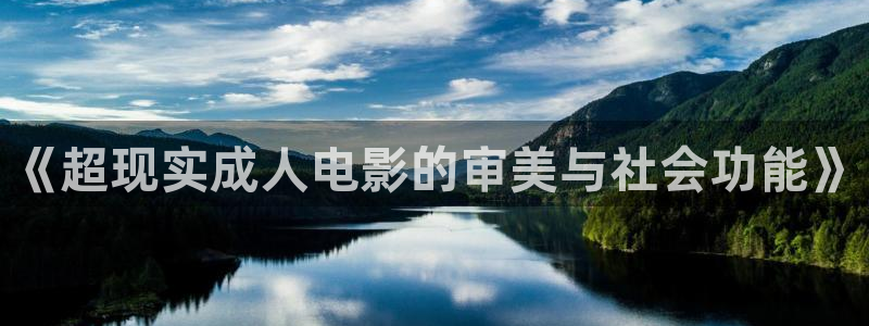 熊猫酒店在哪：《超现实成人电影的审美与社会功能》
