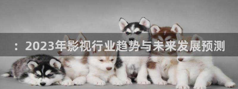 熊猫酒店在哪：：2023年影视行业趋势与未来发展预测