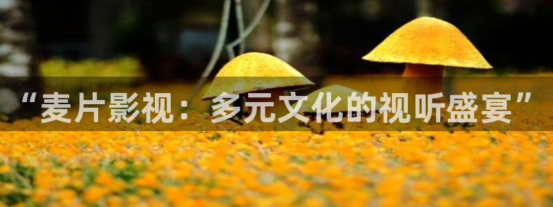 熊猫电视：“麦片影视：多元文化的视听盛宴”