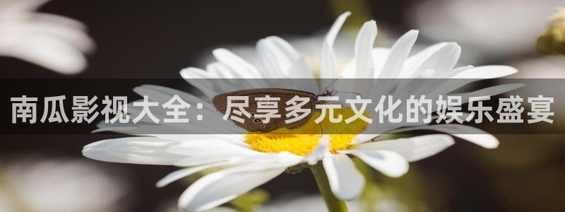 熊猫屋：南瓜影视大全：尽享多元文化的娱乐盛宴