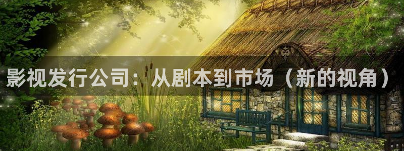 熊猫吧：影视发行公司：从剧本到市场（新的视角）