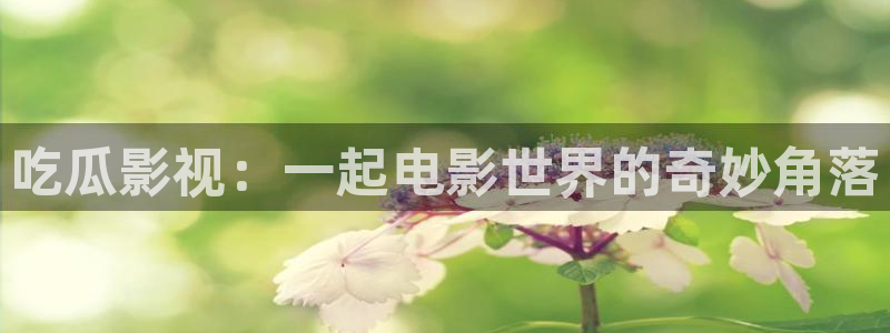 熊猫影院免费观看高清：吃瓜影视：一起电影世界的奇妙角落