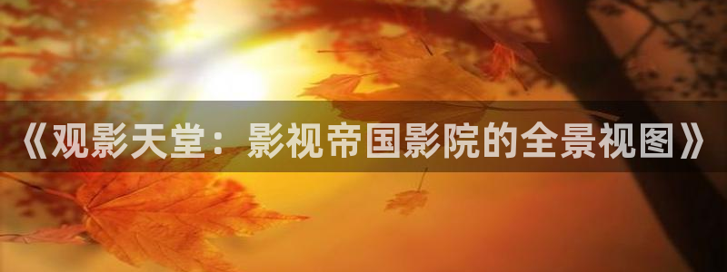 中电熊猫：《观影天堂：影视帝国影院的全景视图》