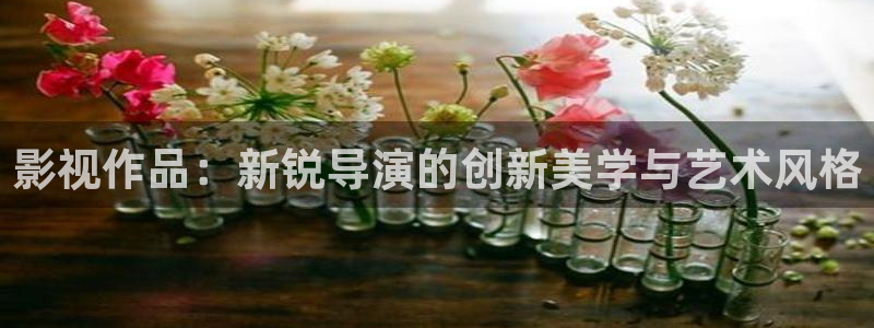熊猫电影yy8y6：影视作品：新锐导演的创新美学与艺术风格