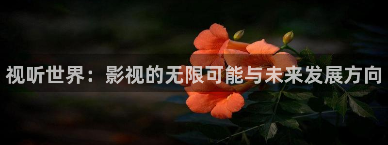 熊猫高清在线观看：视听世界：影视的无限可能与未来发展方向